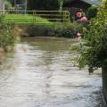 03_2011-08-23-15h31_rue_de_clabecq.jpg