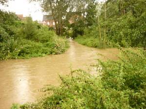 Confluence Coeurcq-Senne (© Jean-Pierre Fumière)