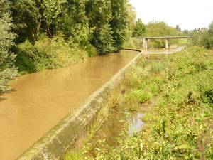 2011-08-23_itbzjpf-3_p1020831.jpg