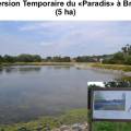 2015-03-03_ntbzsit_diaporama_paradis_010.jpg