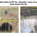 2015-03-03_ntbzsit_diaporama_paradis_017.jpg