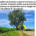 boues-24.jpg