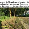 boues-27.jpg