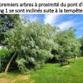 boues-8.jpg