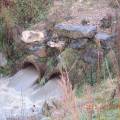2015-01-08t16-51_dscn2289.jpg