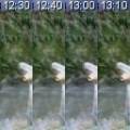 2012-01-18t00-208-3e8_hain_marottes_stp.jpeg