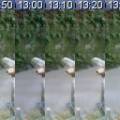 2012-01-19t00-226-3f2_hain_marottes_stp.jpeg