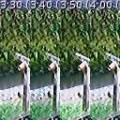 2013-05-12t00-15e-50a_hain-marottes_stp.jpeg