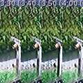 2013-05-13t00-15e-50a_hain-marottes_stp.jpeg