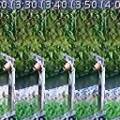 2013-05-14t00-154-514_hain-marottes_stp.jpeg