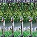 2013-05-17t00-172-50a_hain-marottes_stp.jpeg